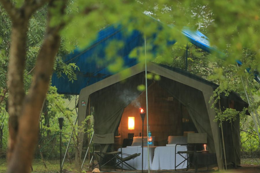 Big game TENTED camps at Udawalawe national park
