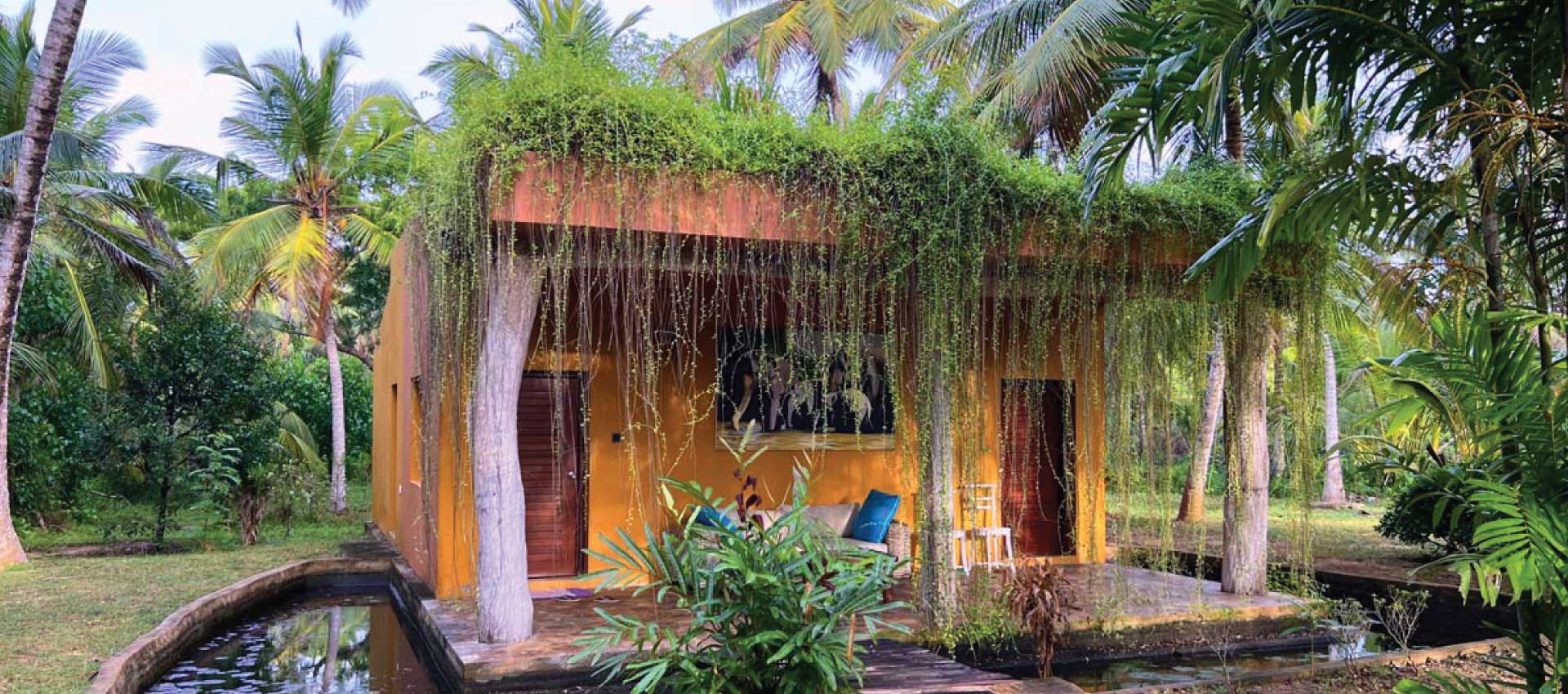 Stay Somewhere Special: Mangrove Beach Cabanas &amp; Chalets