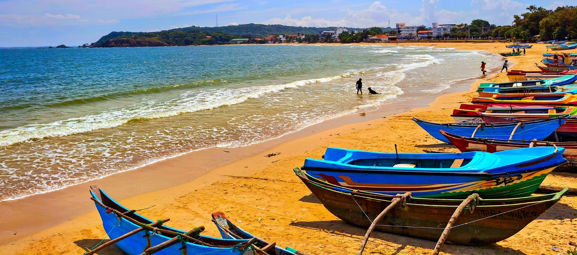 Monthly News Bulletin - March 2025 