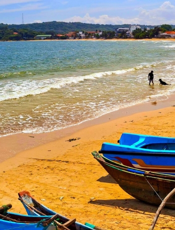 Monthly News Bulletin - March 2025 