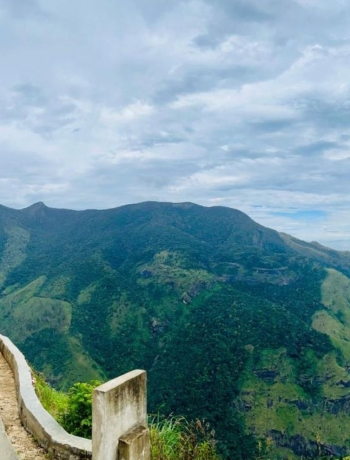 Our Signature Cloud Safaris